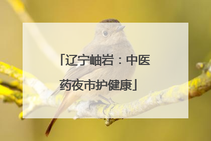 辽宁岫岩：中医药夜市护健康